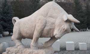 toro granito