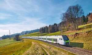 treno bls