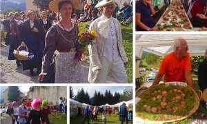 trontano sagra fungo mix 17