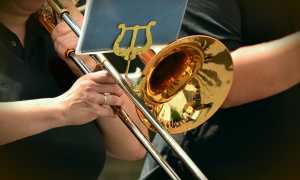 trumpet g039a79a6b 640