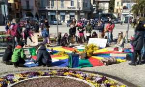 vco movimento