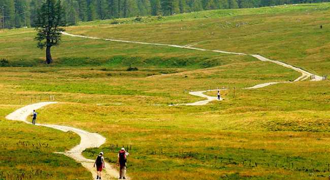 veglia prato sentiero