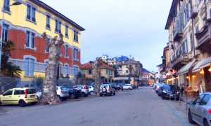 via rosmini piante potate