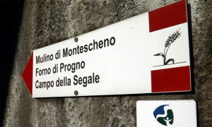 via segale cartello