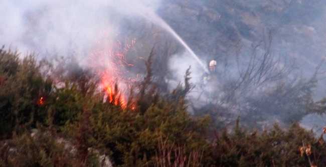 vigili aib sterpaglie incendio 1