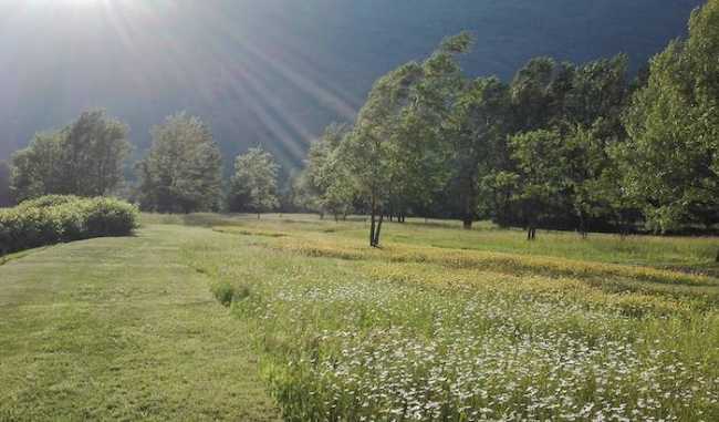 villa collina sport