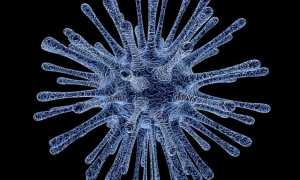 virus 213708 640