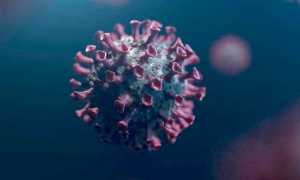 virus 6170929 640
