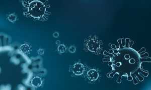 virus foto