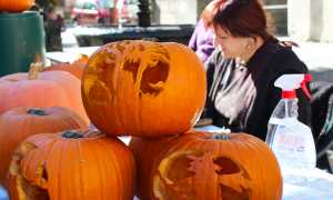 zucche halloween vigezzo