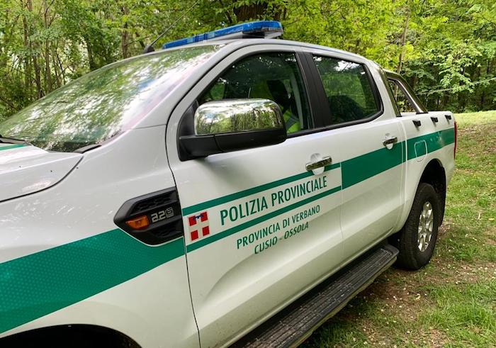 Si sparerà l'anestetico per recuperare il cane dell'escursionista disperso 