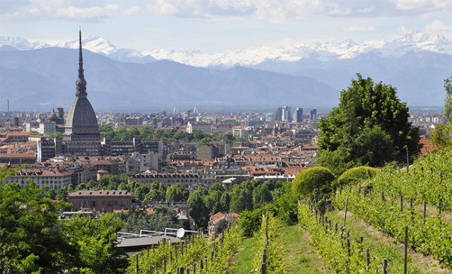 mole torino