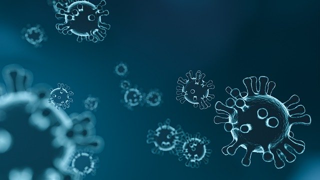 virus foto