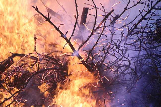 incendio bosco