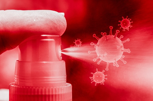 coronavirus g617a36bd5 640
