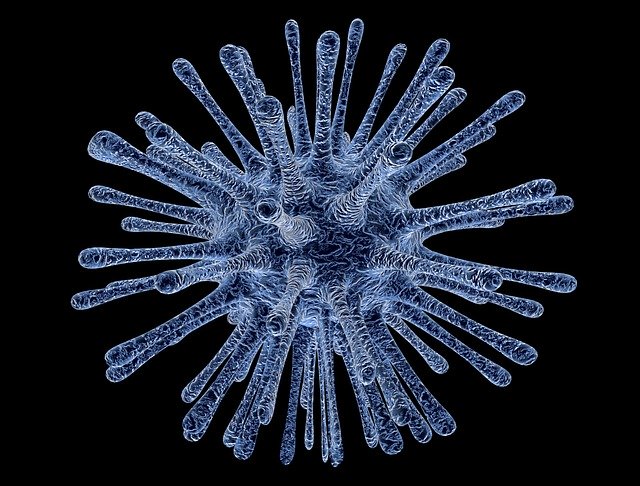 virus 213708 640