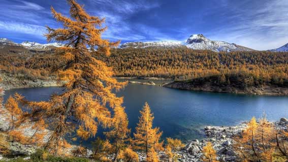 alpe devero