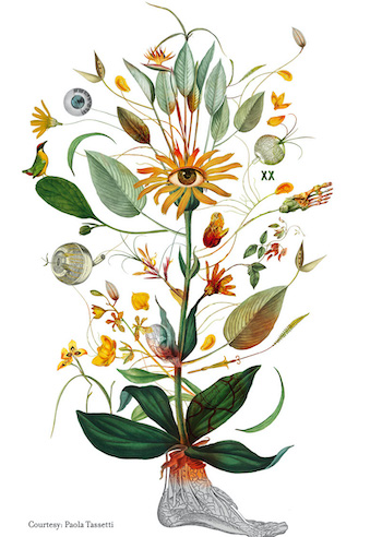 InvitoHerbarium