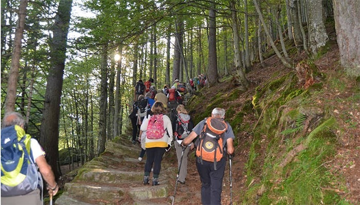 Via al "Percorso di Tolomeo" tra Beura- Domo e Trontano