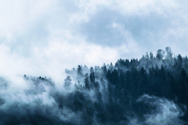 fog g53a0fa187 640