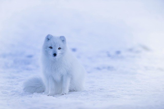 iceland ge4510228f 640