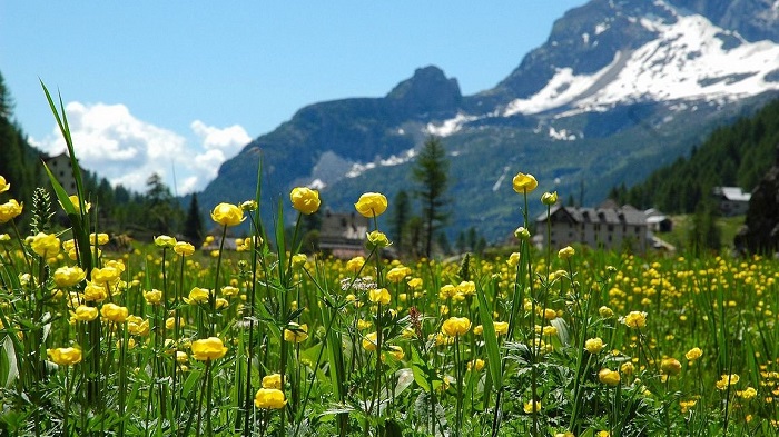 “Leggere all’Alpe Devero”: gli eventi dal 24 al 30 luglio