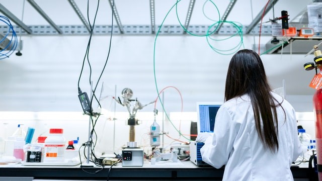 donna laboratorio