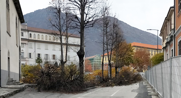 Giù gli alberi di via Rosmini, iniziati i lavori di riqualificazione