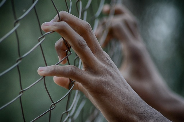 fence g972d85da2 640