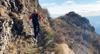 la colla fabbri