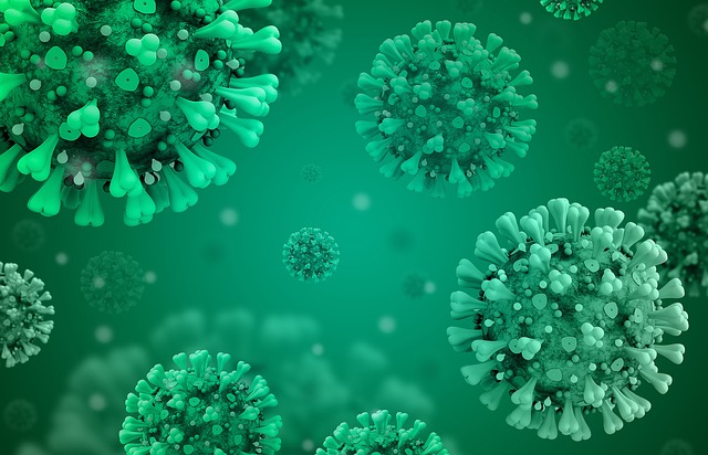 coronavirus disease covid 2019 g02b20e2f3 640