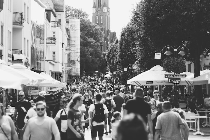 pexels paweł l 1245055