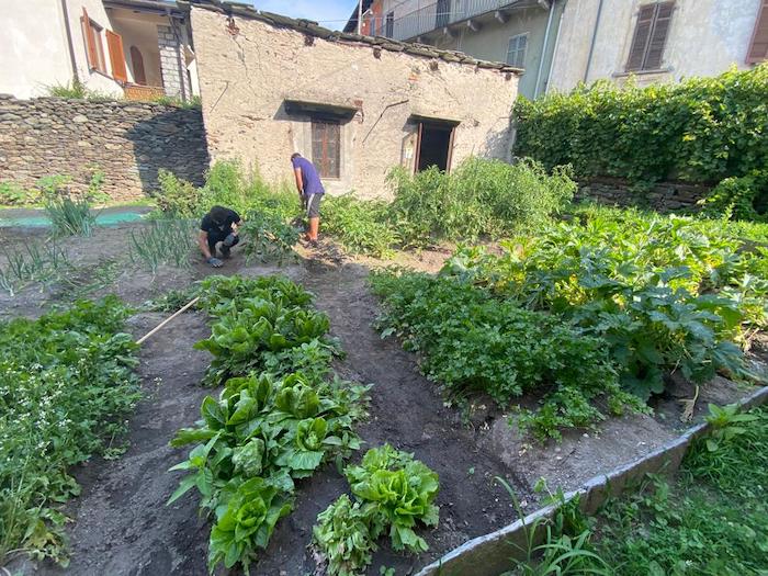 Vogogna: l'orto dei migranti a sostegno delle famiglie bisognose - Fotogallery 