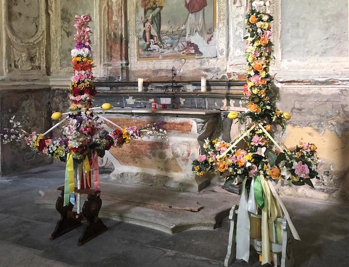 A Mergozzo serata dedicata ai ginostri, gli alberi rituali