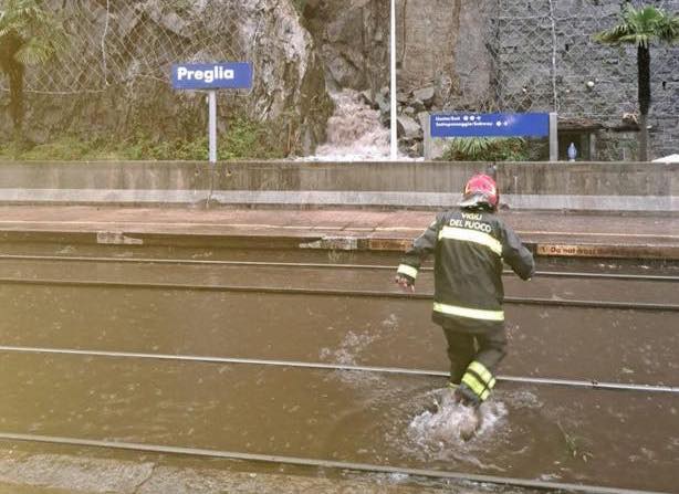 490962650 1203049078492945 1682580855958118522 n