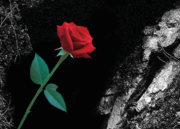 Schermata 2025 02 03 alle 11.24.52