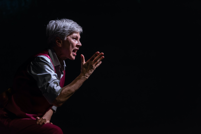 Ottavia Piccolo porta “Matteotti – Anatomia di un fascismo” in scena a Varzo
