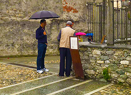 b pizzi multa questua