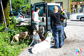 corta soccorso cani