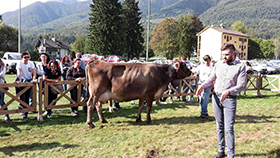 reginetta fiera vigezzina b