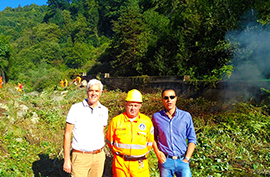 b aib domo cuffaro pizzi falciola