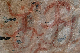 b balma cervi antropoformi