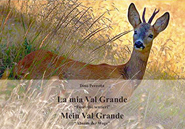 b libro val grande sentieri