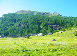 b ok Piana Veglia estate foto di Paolo VAIROLI