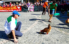 b palio galline villa 16