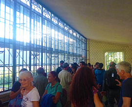 Torna a nuova linfa la serra della storica villa Caselli di Masera. Video e fotogallery