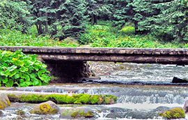 b torrente passaerella