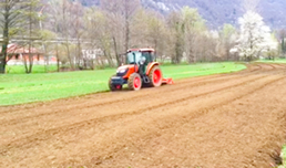 b sagra patata semina trattore