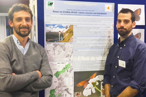 scienziati farfalla erebia