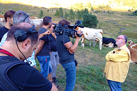 b raspelli mucche antrona tv